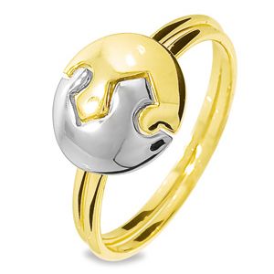 2 Tone Gold Ring - Puzzle Circle