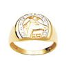 Diamond Gold Ring - Men's Horseshoe
