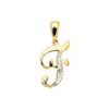 Diamond Gold Pendant - F