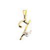 Diamond Gold Pendant - Z